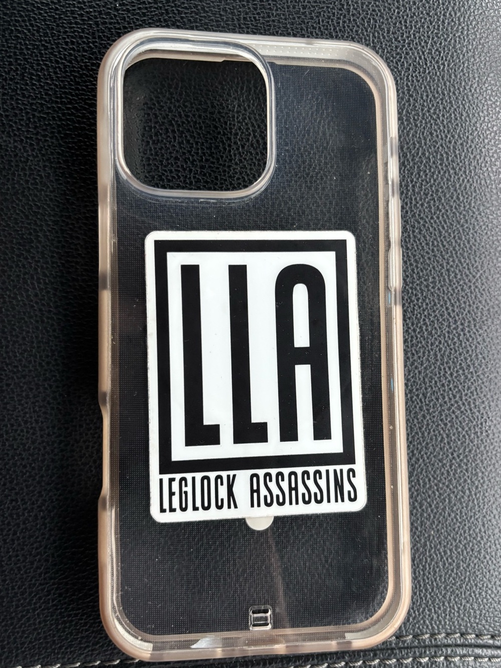 Clear iPhone 16 Pro Max Phone Case